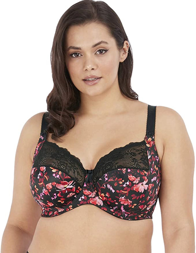 Elomi Women's Plus Size Morgan Banded Underwire Stretch Lace Bra
